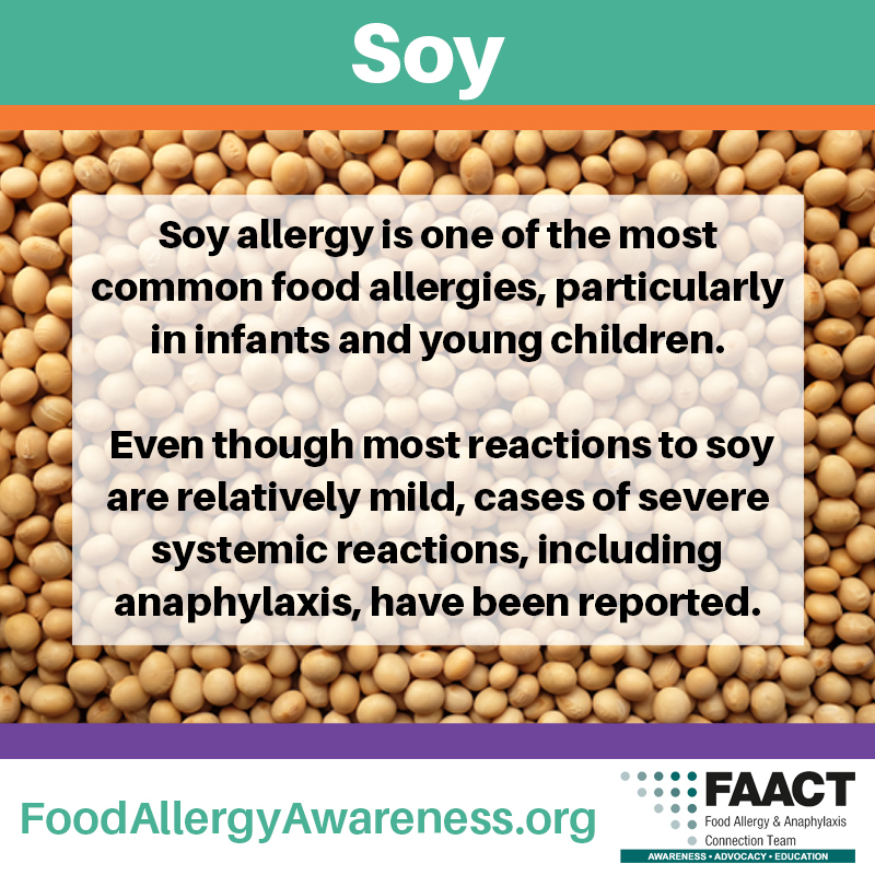 Soy Allergy Facts